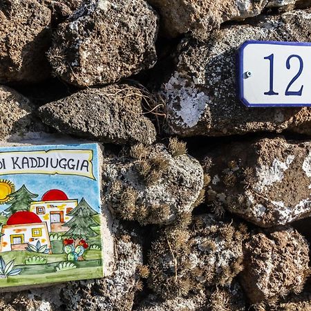 Villa Dammuso I Pini Di Kaddiuggia Campobello Exterior foto